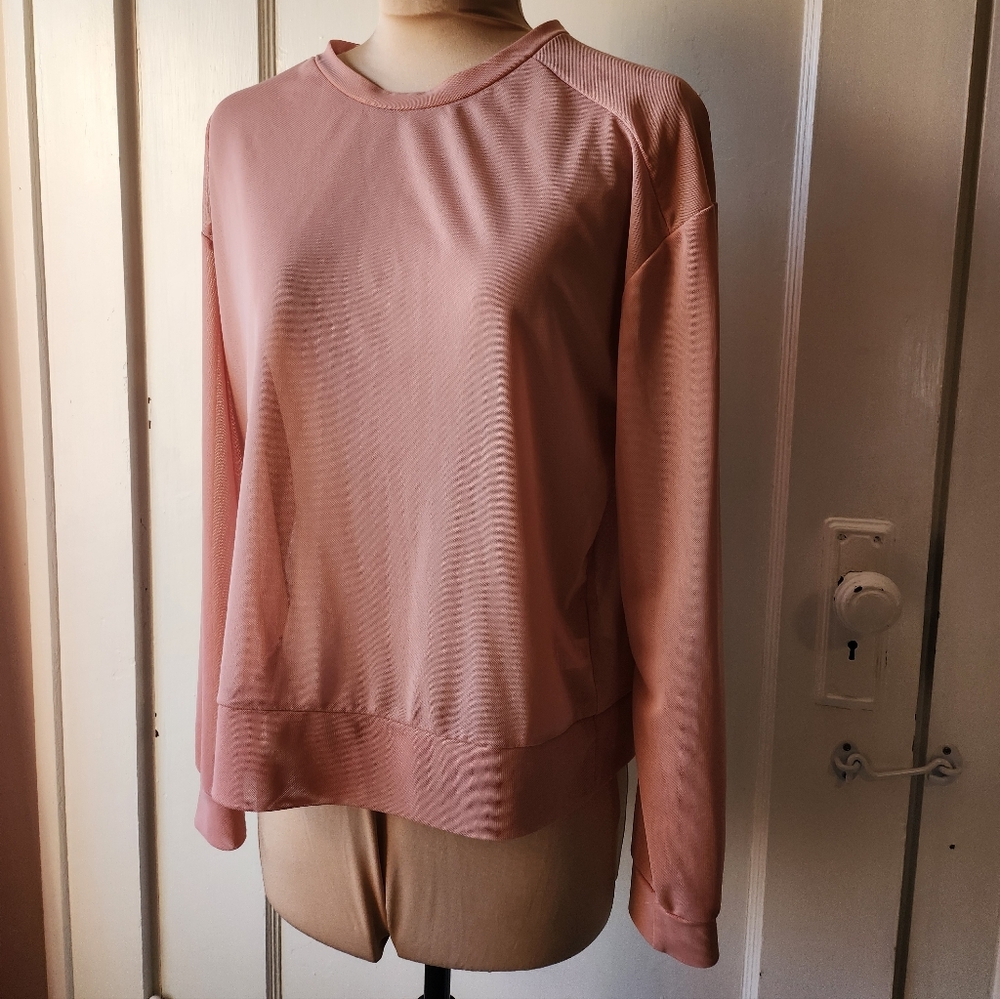 Blush Pink Mesh Long Sleeve Shirt